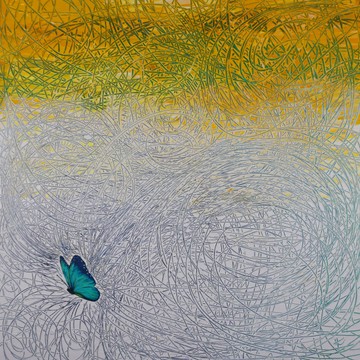 Blue Butterfly